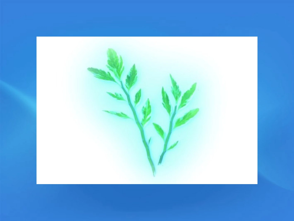 高中语文 假如给我三天光明精品件 苏教版必修2 课件_第3页