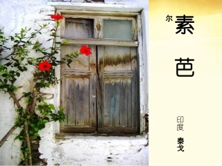 高二语文 第4单元(素芭) 新人教版选修(外国小说欣赏) 课件