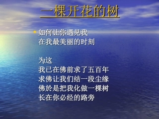 级起始课 石峰课件 石峰课件