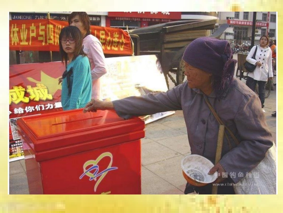 一枝一叶总关情——_第1页