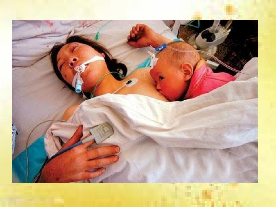 一枝一叶总关情——_第2页