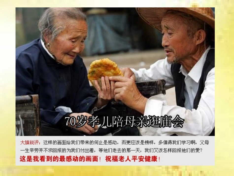 一枝一叶总关情——_第3页