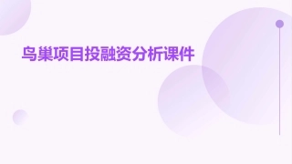 鸟巢项目投融资分析课件