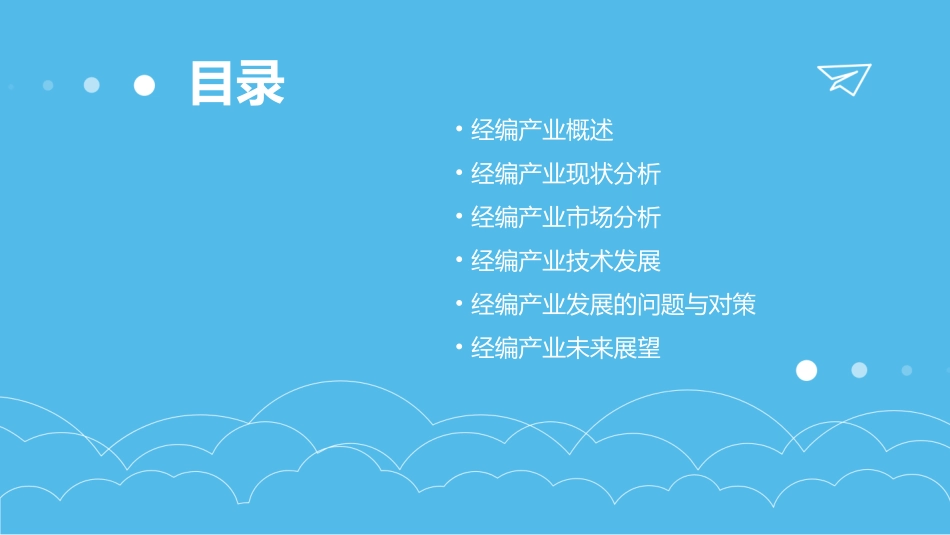 经编产业发展概况课件_第2页
