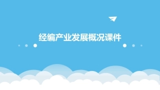 经编产业发展概况课件