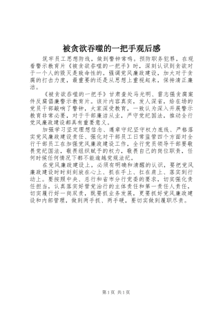 被贪欲吞噬的一把手观后感