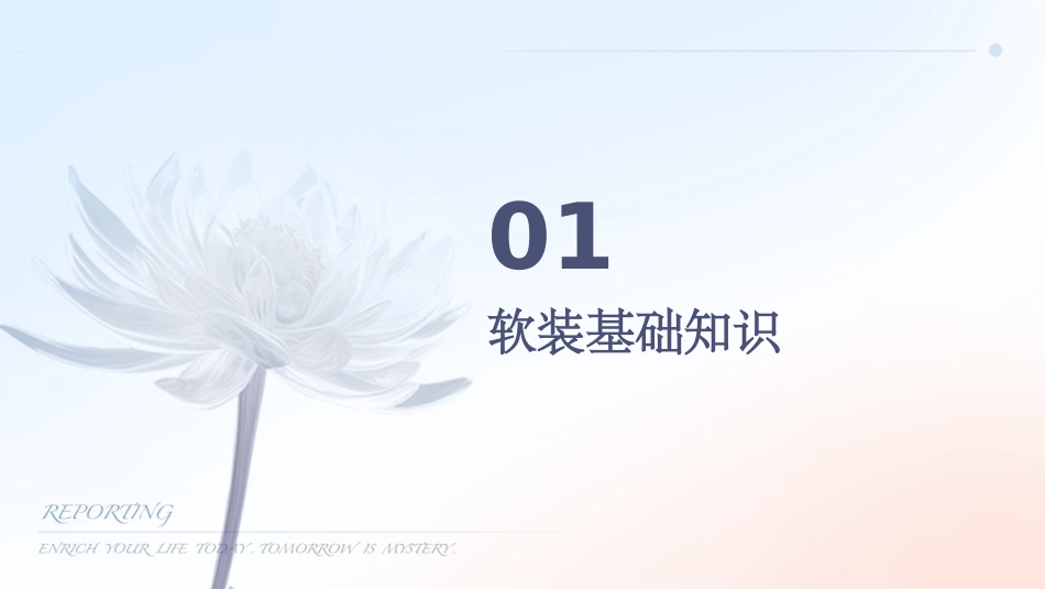 软装配饰方案通用课件_第3页