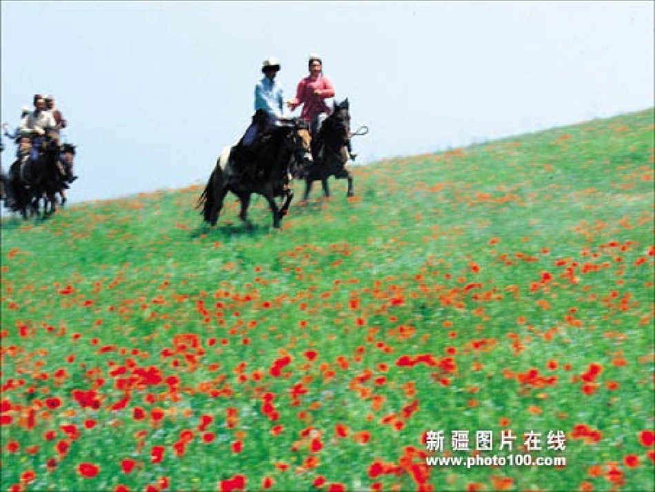 高中语文(巩乃斯的马)精品课件 粤教版必修2 课件_第3页