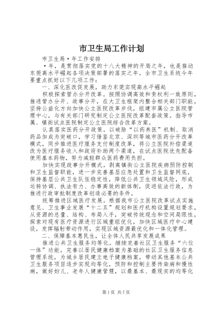 市卫生局工作计划 