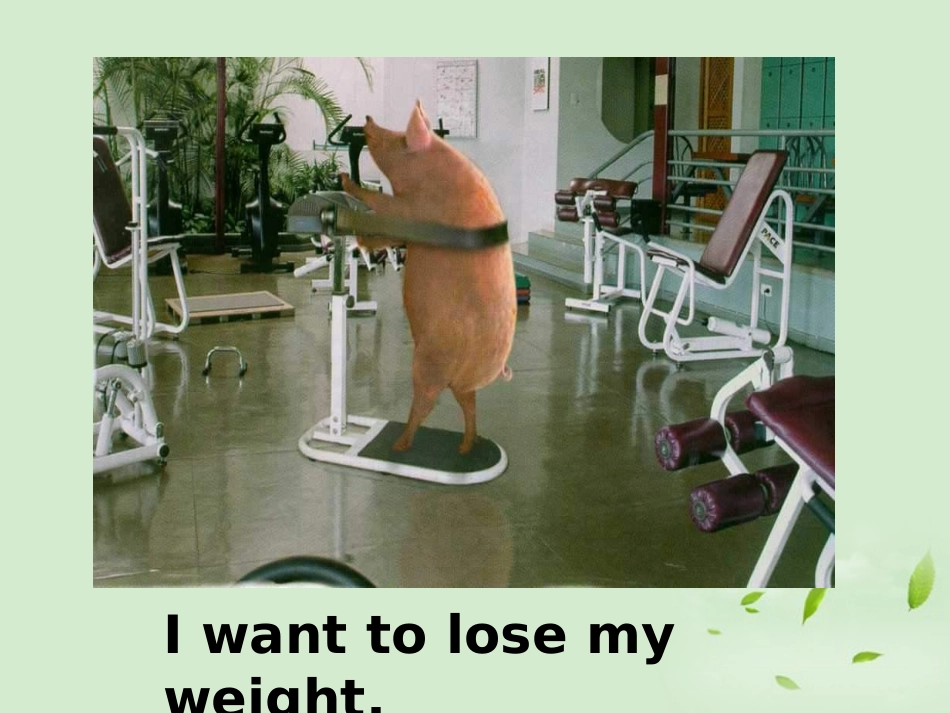 高一英语(Unit3 A Taste of English Humour2)课件 新人教版必修4 课件_第3页