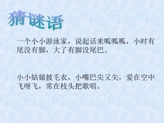 新《坐井观天》PPT课件2