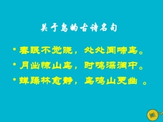 高中语文第一专题鸟啼课件苏教版必修2 课件