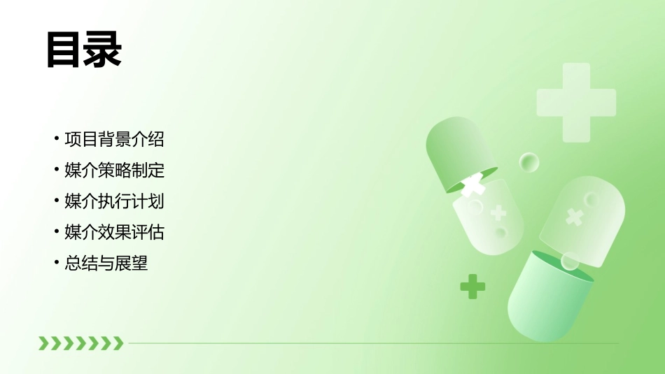 金谷国际服饰广场媒介策略课件_第2页