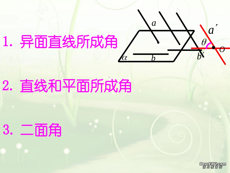 高三数学复习 立体几何中的角 课件_第3页