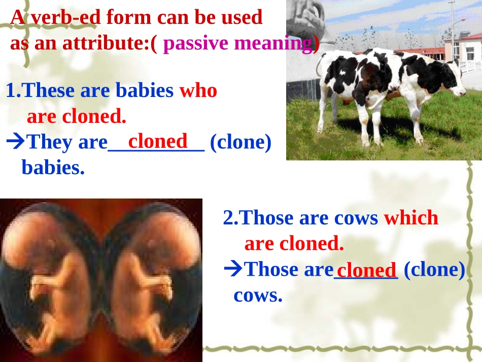 高中英语Module 5 Unit 3 grammar(过去分词)课件必修五 课件_第2页