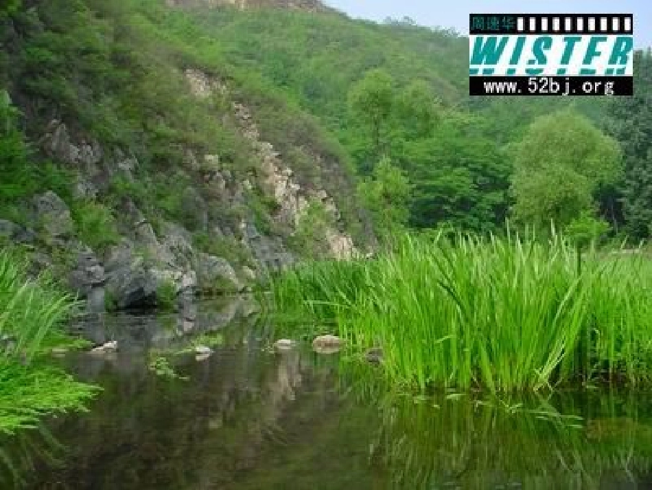 搭石（讲课用）_第2页