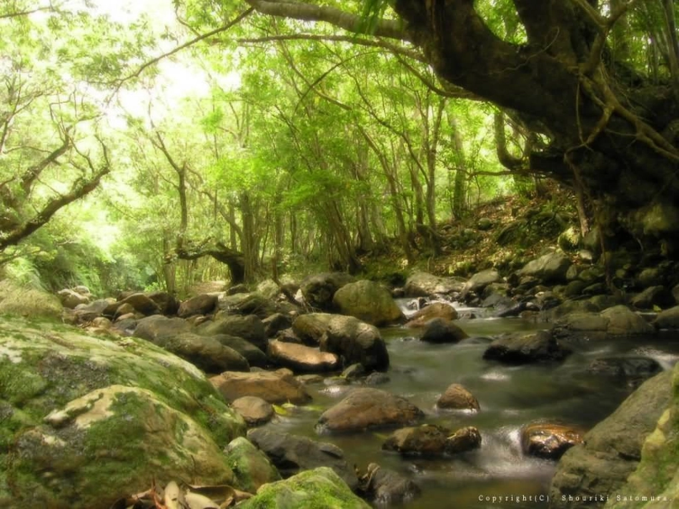 搭石（讲课用）_第3页