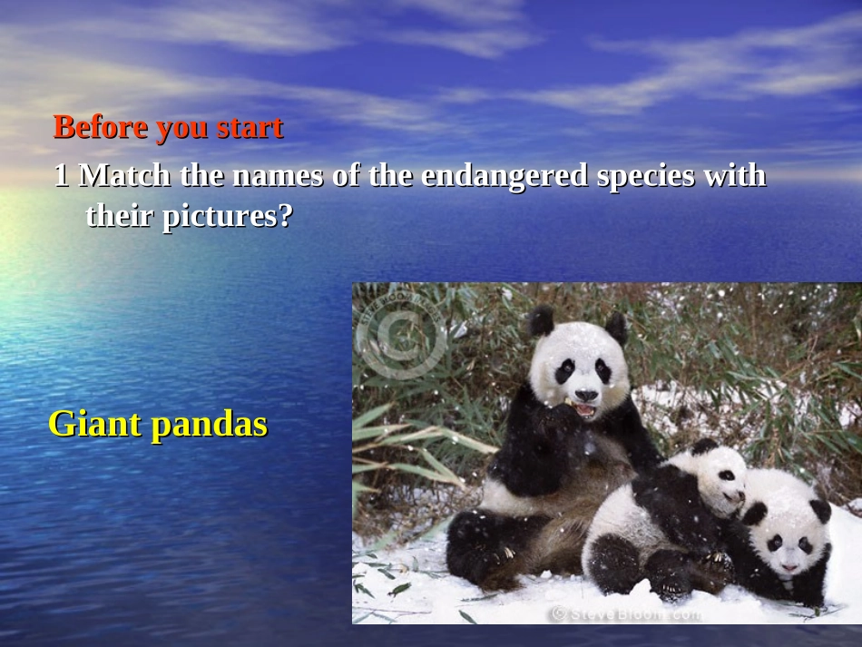 高中英语Unit 22 Lesson 2 Endangered Species 课件3北师大版选修8 课件_第2页