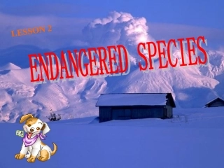 高中英语Unit 22 Lesson 2 Endangered Species 课件3北师大版选修8 课件