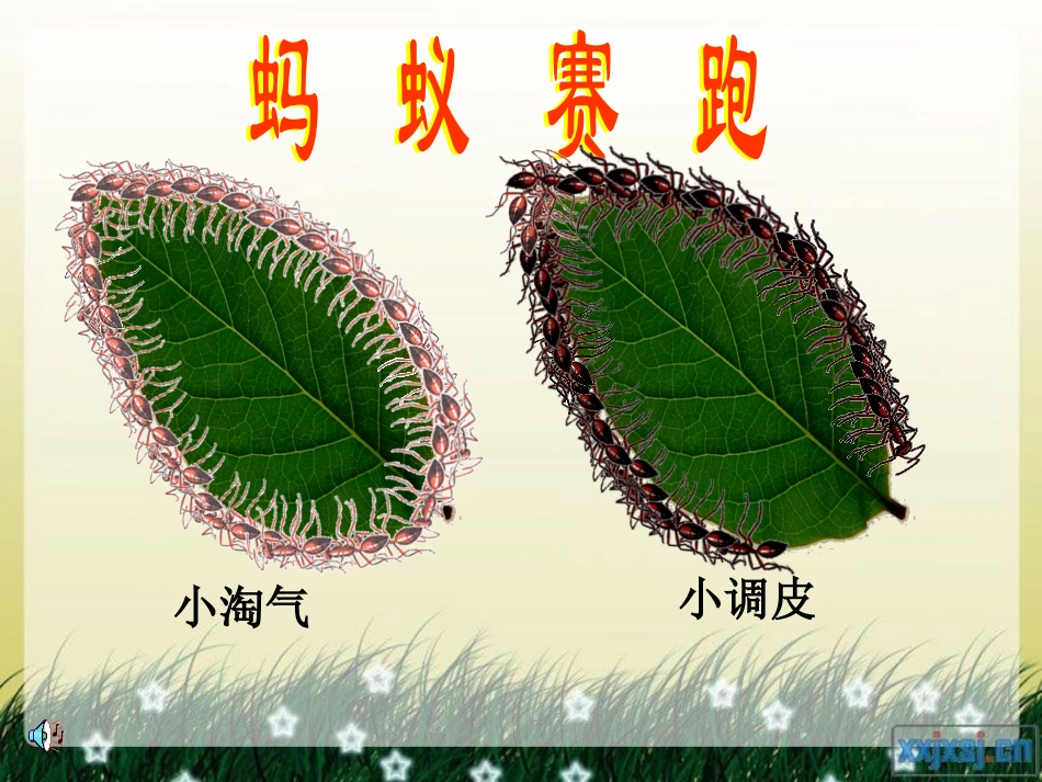 什么是周长PPT_第2页