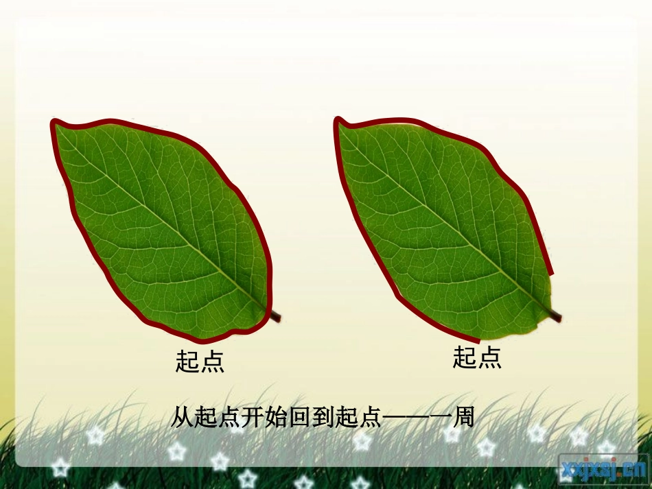 什么是周长PPT_第3页