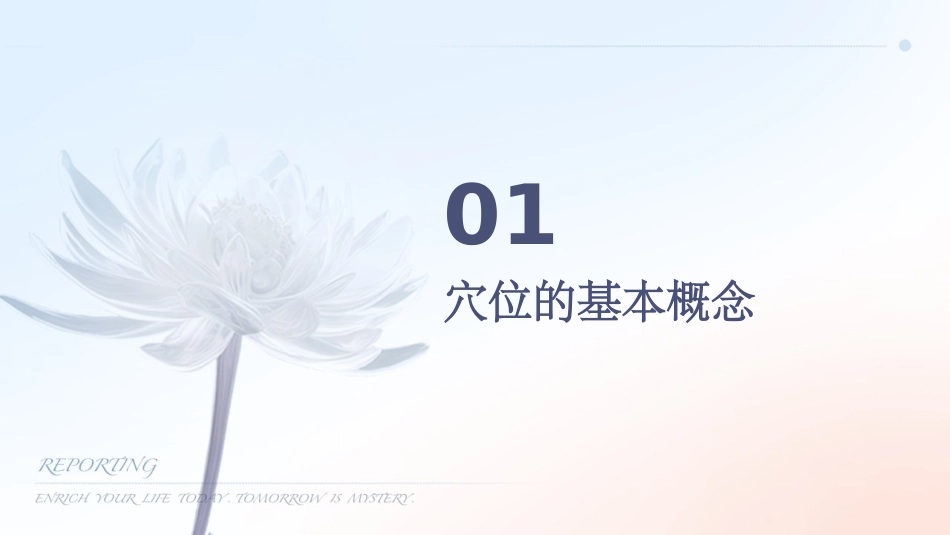 穴位的基础知识通用课件_第3页