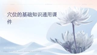 穴位的基础知识通用课件