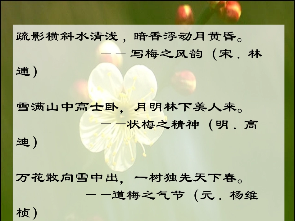 湖北省高二语文病梅馆记课件 人教版 课件_第3页