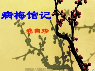 湖北省高二语文病梅馆记课件 人教版 课件