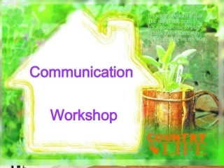 高中英语 模块六 unit16 name stories课件 北师大版选修6 课件