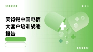 麦肯锡中国电信大客户培训战略报65页课件