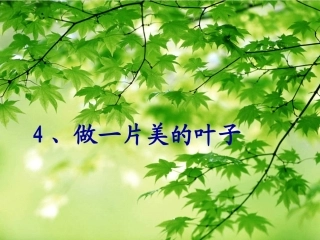 做一片美的叶子tal