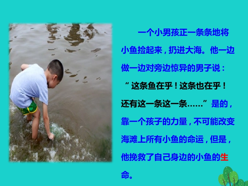 秋八年级语文上册 第二单元 综合性学习课件 新人教版 090511 090511_第3页