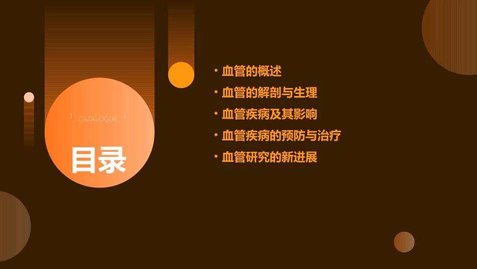 血流的管道血管新课件_第2页