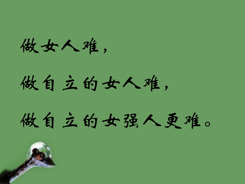 高中语文(呼兰河传)课件1 北京版选修2 课件_第3页