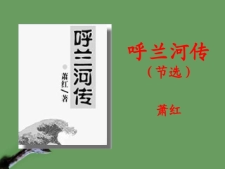 高中语文(呼兰河传)课件1 北京版选修2 课件