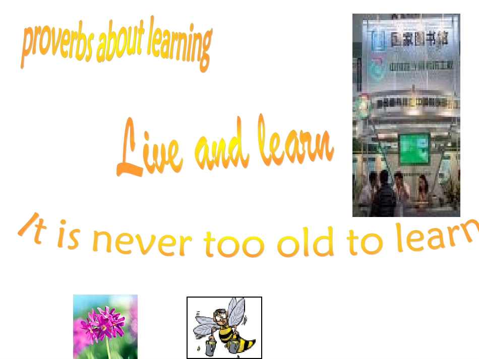 高中英语Unit 15 Lesson 1 Life-long Learning课件2 北师大版 必修5 课件_第2页