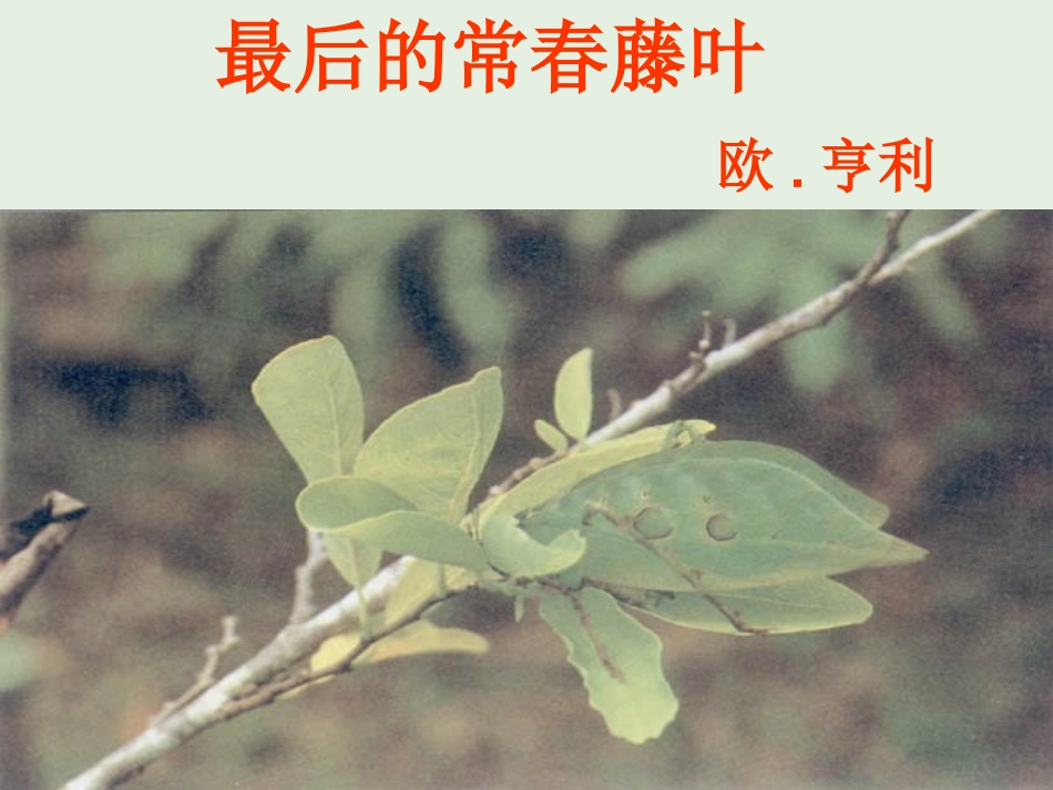 高中语文第一专题最后的常春藤叶课件2苏教版必修2 课件_第2页