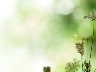 高考英语 通用题型考前指导与仿真模拟系列资料 单项填空题指导课件