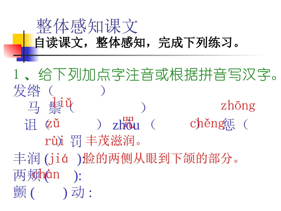 初中一年级第一课时课件_第3页