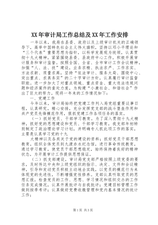 XX年审计局工作总结及XX年工作安排 