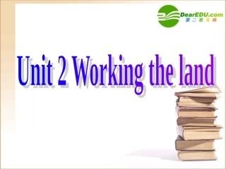 高考英语一轮复习 Book Four Unit 2备考课件 新人教版 课件