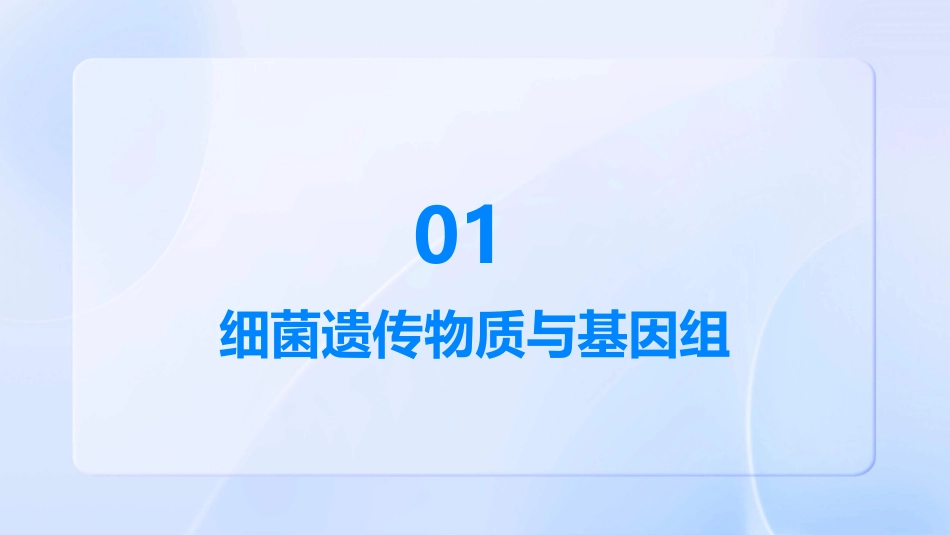 细菌的遗传和变异教学课件_第3页
