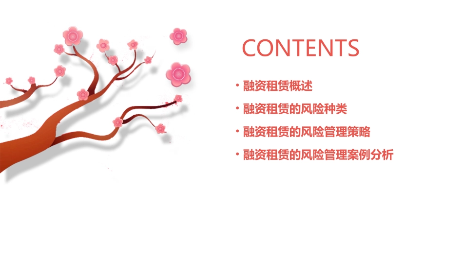 融资租赁的风险管理课件_第2页