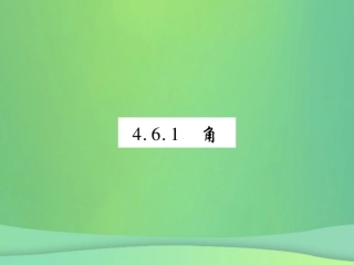 秋七年级数学上册 第4章 图形的初步认识 4.6 角 4.6.1 角练习课件 (新版)华东师大版 课件