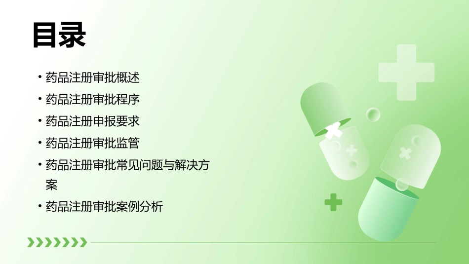 药品注册审批程序与申报要求课件_第2页