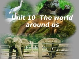高一英语Unit10 The world[整理]人教版 课件