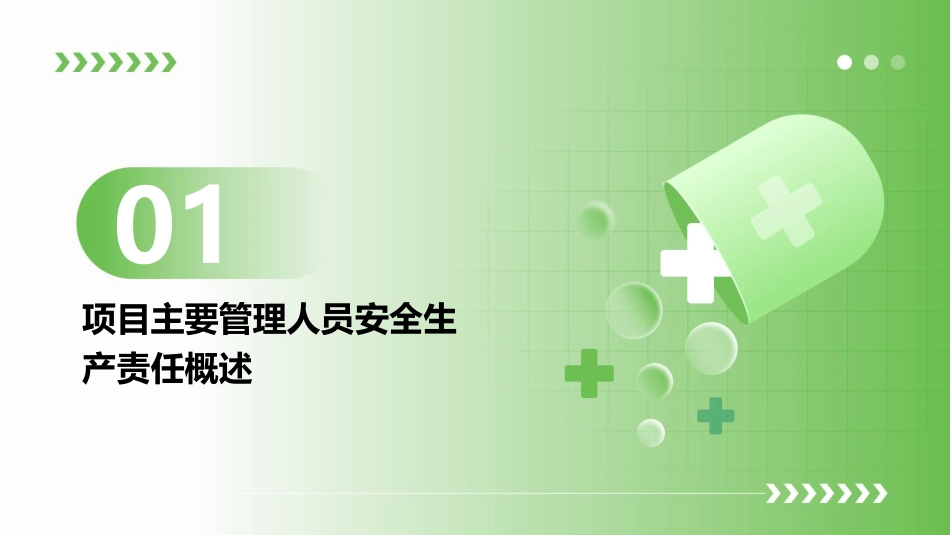 项目主要管理人员安全生产责任制课件_第3页