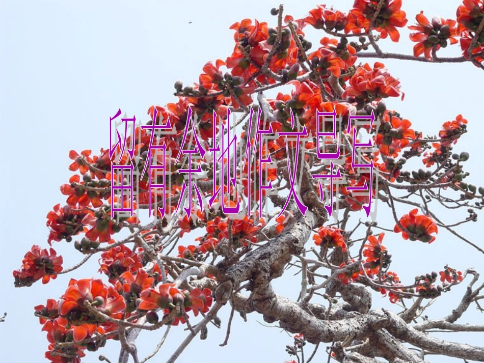 高考语文二轮复习 写作课件3 课件_第2页