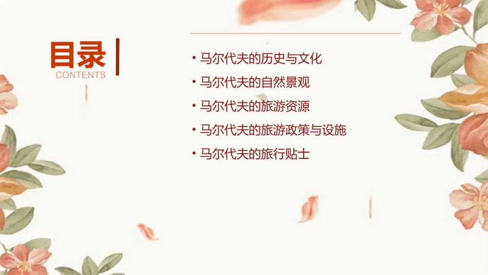 马尔代夫介绍课件_第2页